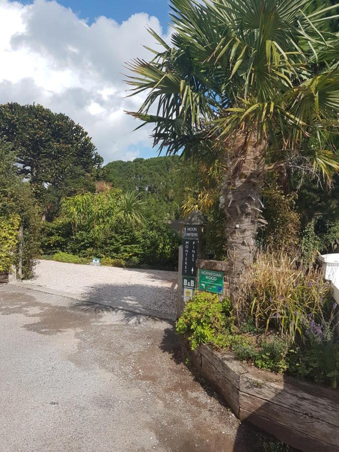 Hotel Norwegian Wood Paignton Exterior foto